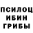 Псилоцибиновые грибы GOLDEN TEACHER dapetrova