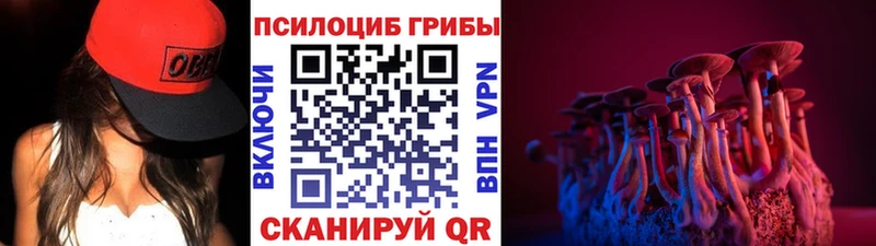 ОМГ ОМГ ТОР  Агидель  Псилоцибиновые грибы Psilocybine cubensis 